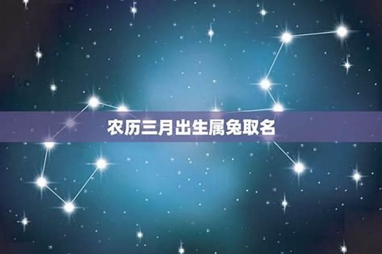属虎2025年犯太岁怎么化解