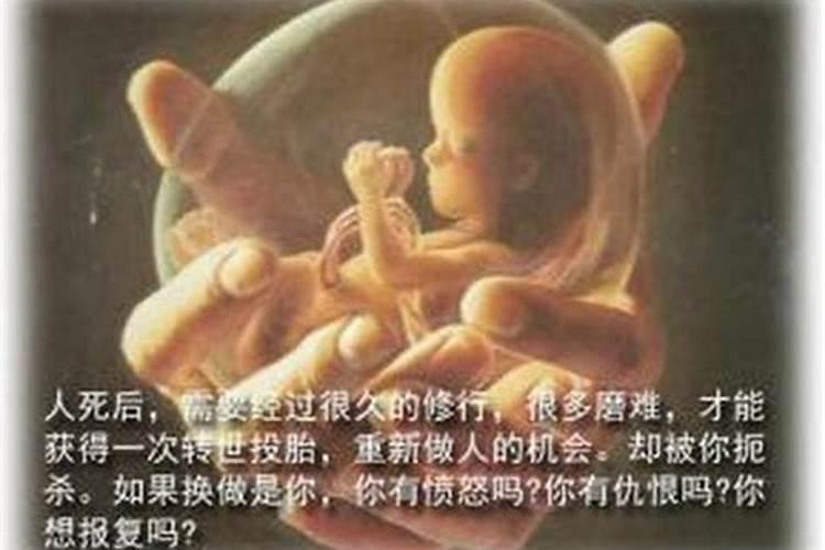 2024年害太岁生肖 怎么化解害太岁？