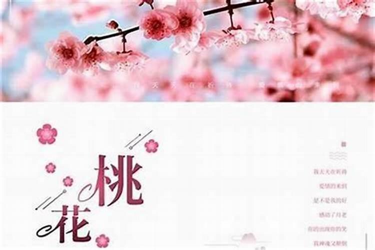四柱八字桃花煞分为哪几种