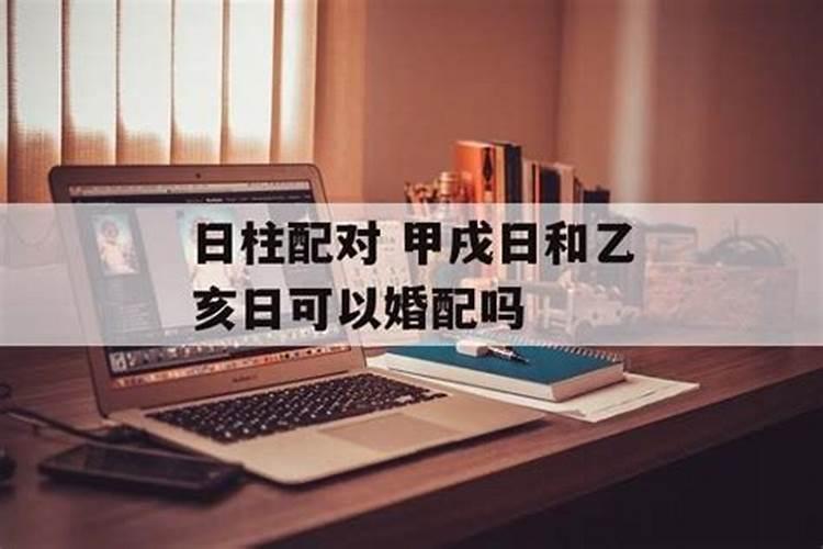 生肖运势谁算的准,生肖运势准吗？