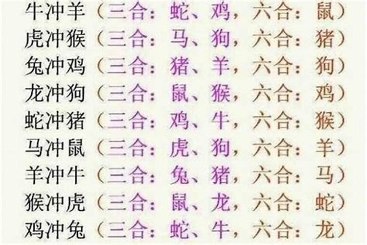 属马和属猪的适合做夫妻吗