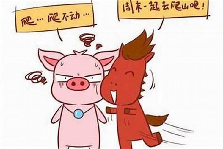 属猪男和属马女的婚姻相配吗