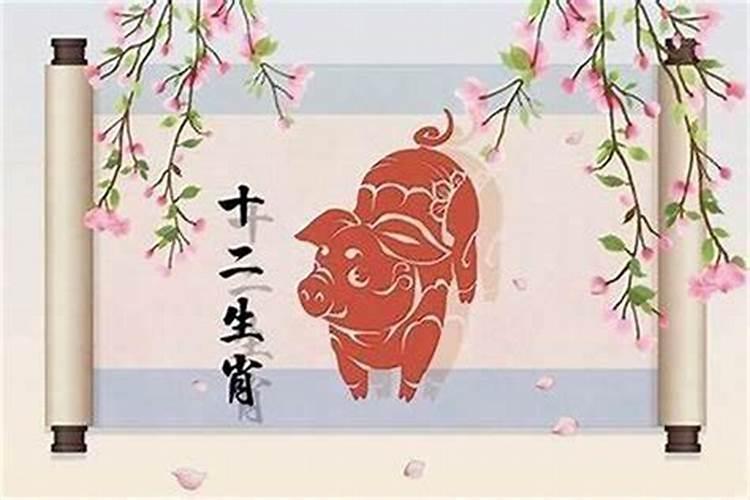 95属猪的和什么属相的在一起最好