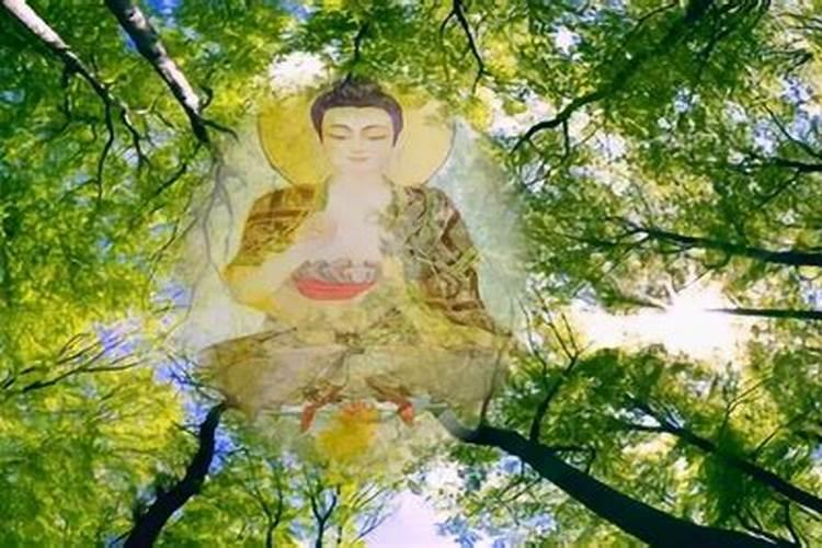 北京哪个寺庙可以超度堕胎婴灵,哪个超度的好？