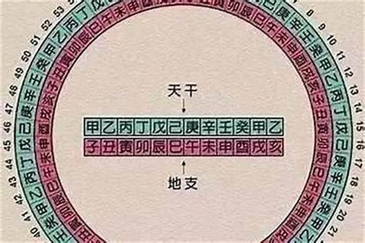 八字日柱为己酉的命运 己酉日出生的人命好吗