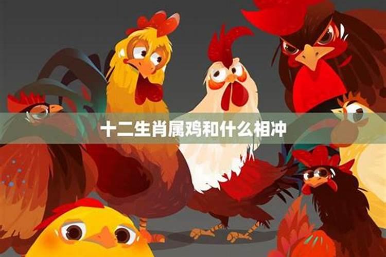 日支是什么