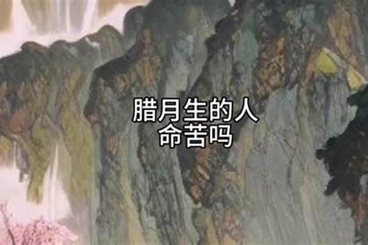 兔和兔的属相适合做夫妻吗