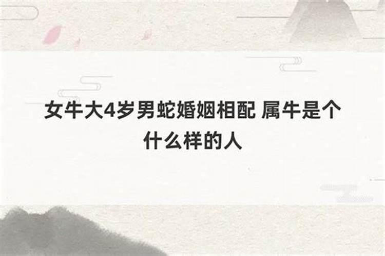 属牛女和属蛇男的婚姻如何,属蛇男跟属牛女相配吗