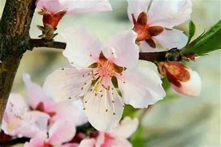 男人催桃花运的9种方法