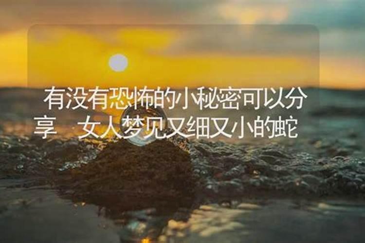 梦到小蛇是什么预兆
