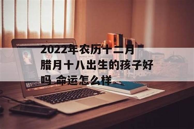 2009年农历十月初一午时出生的人的五行