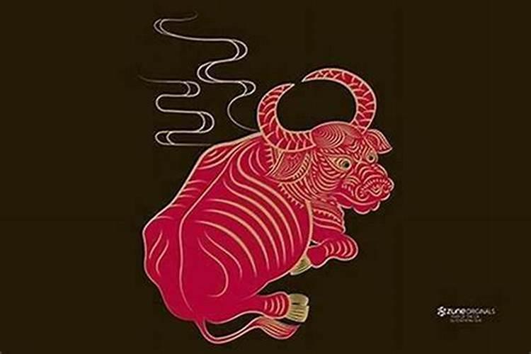 属牛人一生命运与姻缘