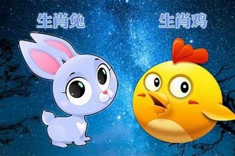 属鸡的和属兔的合适在一起吗？