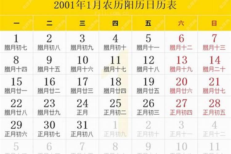 1975属兔女在2025年的每月运势