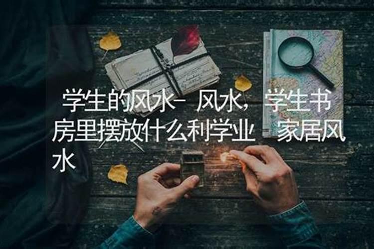 属马人哪一年犯太岁最严重,各方面运势如何