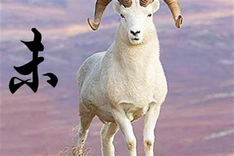 鼠跟狗合不合