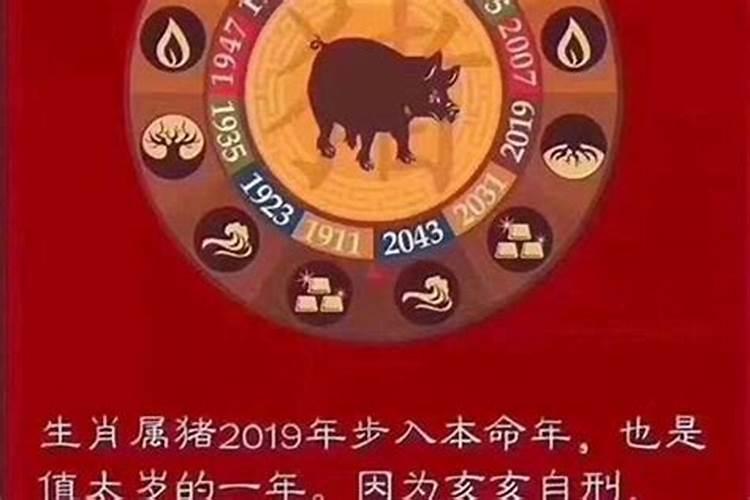 害太岁是什么意思