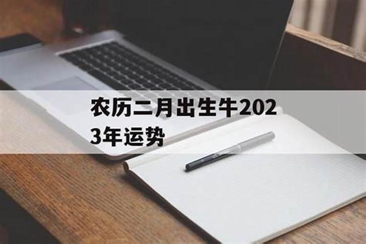 梦见自己买玉米的预兆