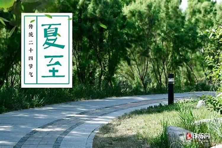 夏至几号到几号