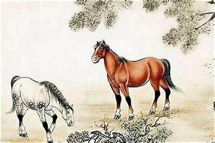 马和羊的八字能配吗？