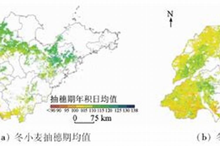 生肖蛇1977年2025年运势如何 生肖蛇1977年2025年全年运势