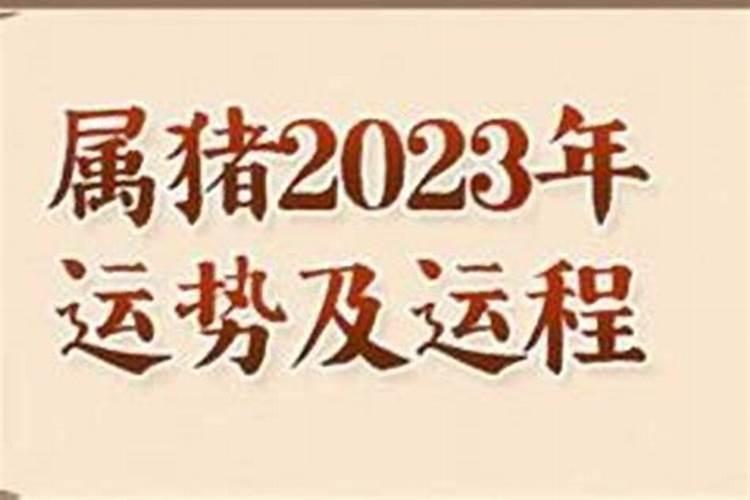 81年属鸡人在2025年的全年运势