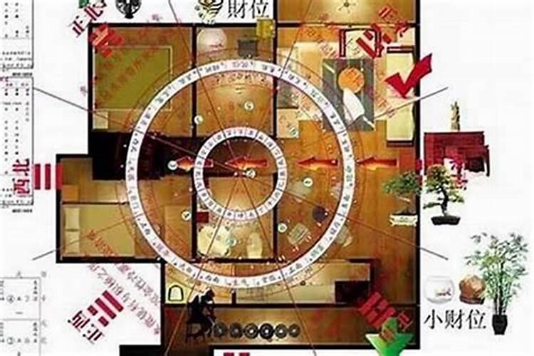 兔子生肖本命年可以结婚吗 兔年本命年能结婚吗