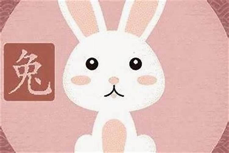 猴与狗相配的婚姻如何92男猴配94女狗合不合呢