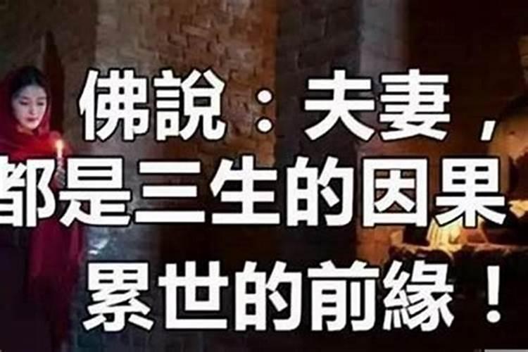 女命:壬午,戊申,癸丑,甲寅。 大运庚子。 流年庚子。 求测2020庚子流年吉...