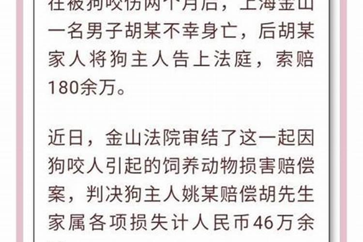 梦见狗当道的预兆