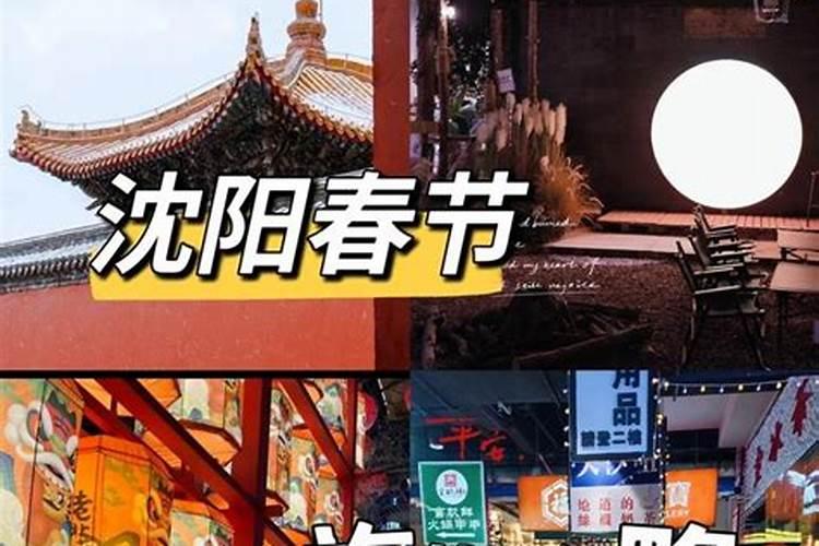 63岁属蛇人今年忌讳