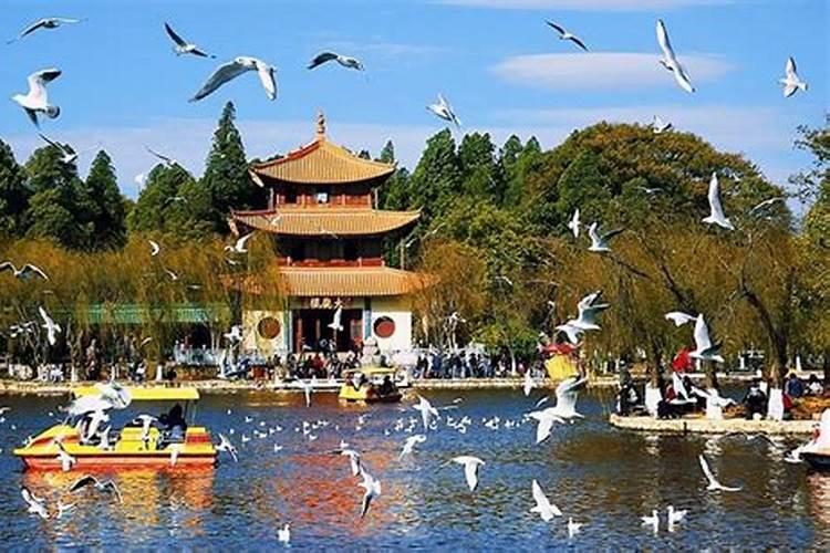2025年二月份日历怎么画