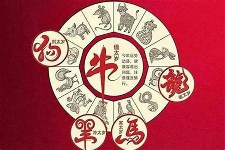 72年鼠男在2025年的全年运势如何