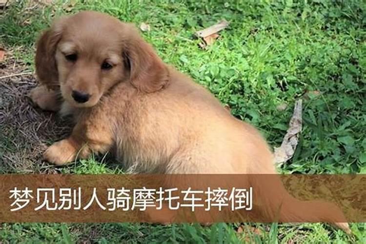 十月初一生男孩有什么说法