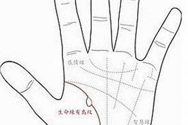 生命线是哪一条 生命线有两条什么说法