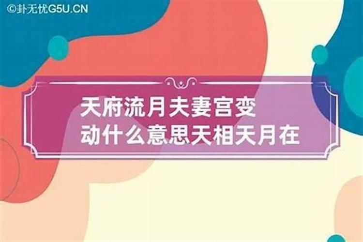 夫妻天府流月变动是什么