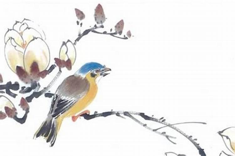 夫妻天府流月代表什么