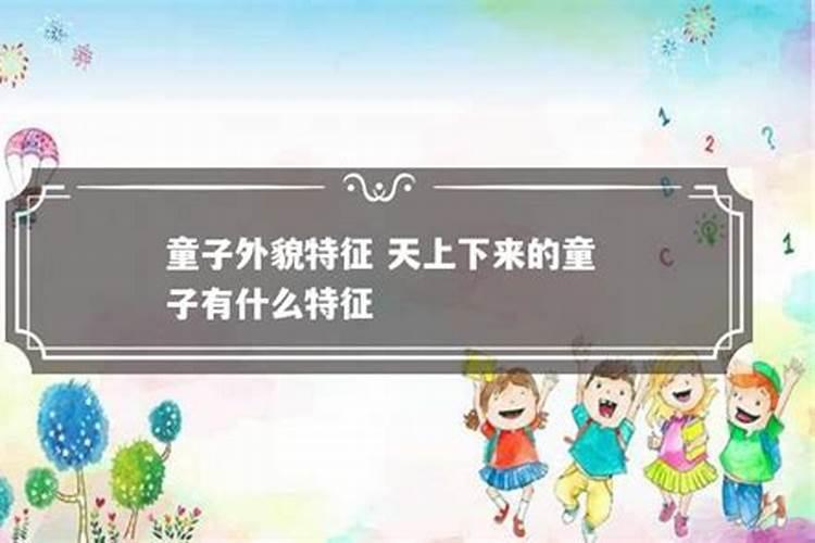 67年的羊2025年运势
