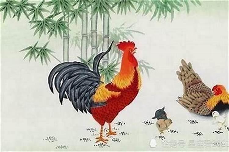 81年属鸡农历12月25日子时生,是什么命？