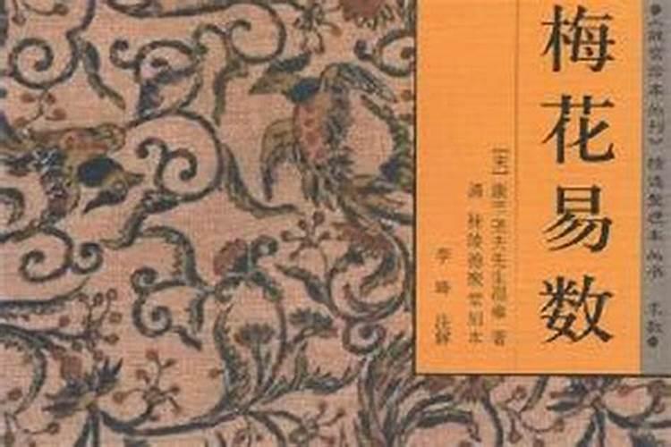 梅花易数测姻缘中,一定是我克者为妻吗？如果没有我克的怎么办？就代表没...