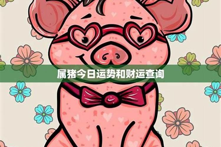 八字算命中四柱的五行平衡 咋回事？
