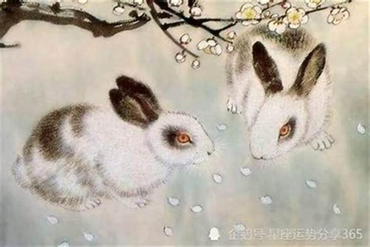 怎么算阴历生日？