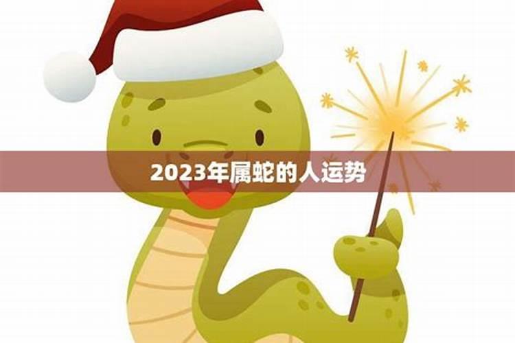 2025属蛇本命年佩戴什么好呢