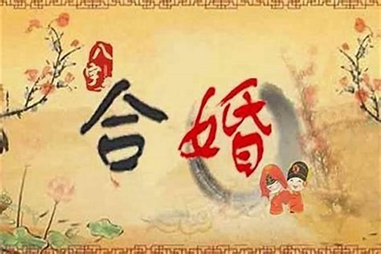 梦见鱼死又活了的预兆