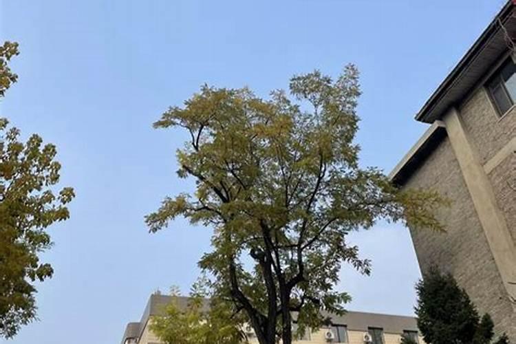 2022年农历十月初一是几号 农历十月初一是什么节