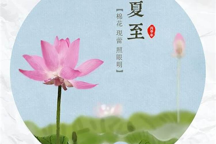 1982属狗在2025以后十年大运