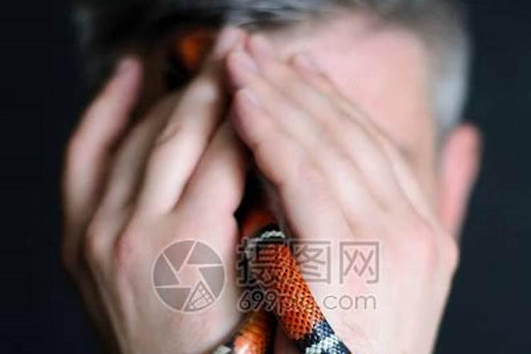 梦见自己爸爸抓到蛇的预兆