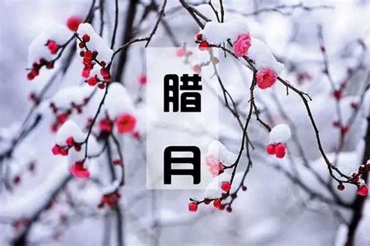 1967年属什么生辰八字