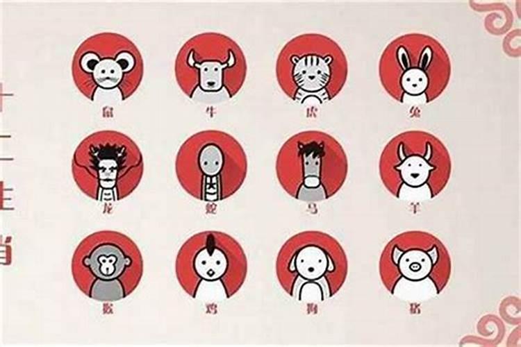 合婚属相重要还是八字重要？