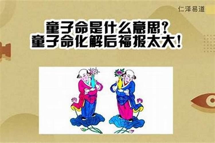 新星座表